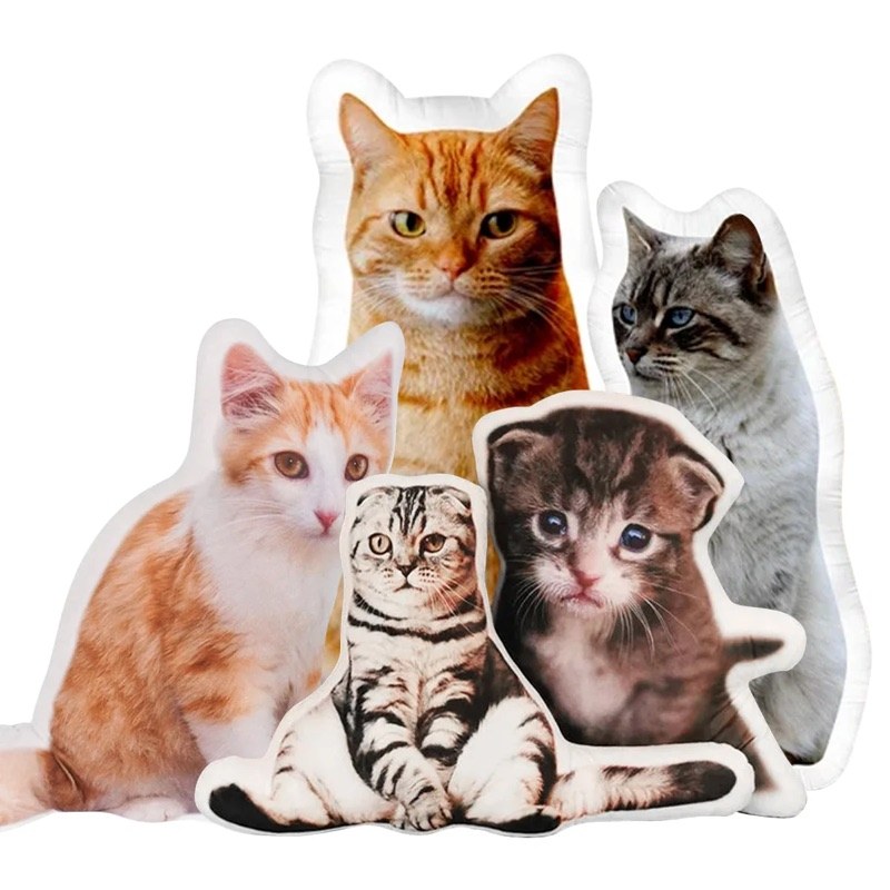 Pets